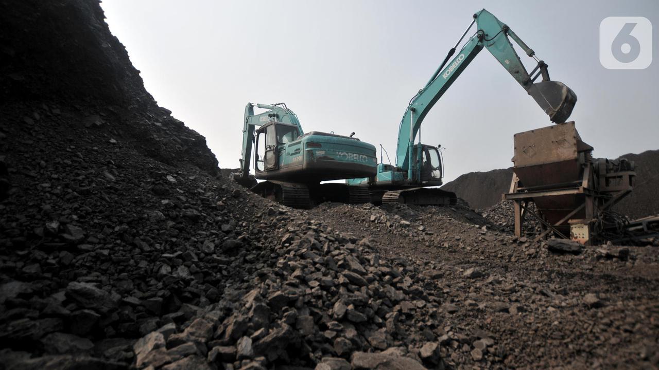 APBI Peringatkan PHK Massal dan Penghentian Tambang Akibat Kuota Produksi Batu Bara 2026