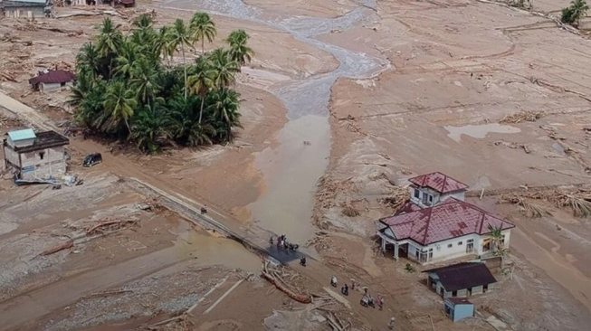 Pemerintah Cabut Izin Jutaan Hektare Sawit dan Segel Tambang: Langkah Tegas Mitigasi Bencana