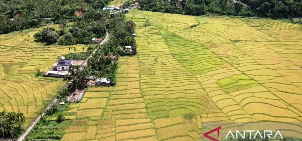 Warga Beutong Ateuh Aceh Desak Presiden Tolak Tambang Emas, Lindungi Lingkungan dan Kehidupan Adat