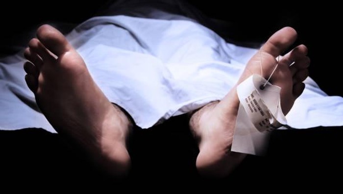 Penambang di Lebak Tewas Akibat Longsor Batu, Sorotan Keselamatan Kerja