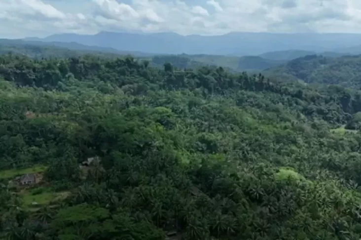 Jelang Konferensi Perubahan Iklim di PBB, Peran Masyarakat Adat Penting dalam Menjaga Pelestarian Alam