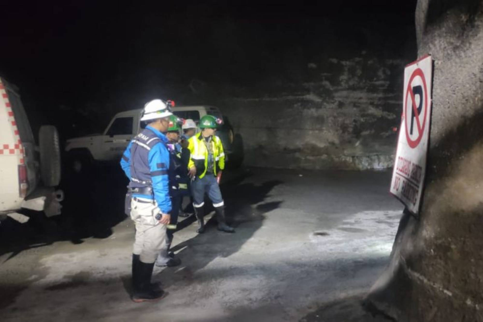 PT Freeport Indonesia Gencarkan Eksplorasi Kucing Liar, Potensi Kontribusi Nasional Meningkat